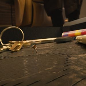Fotoğraf Ant-Man