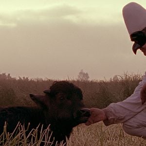 Fotoğraf Bella e Perduta