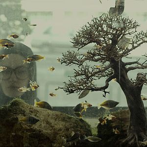 Fotoğraf Ma Dar Behesht