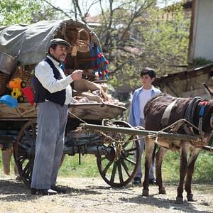 Fotoğraf Beyaz Balina