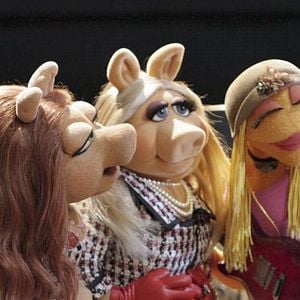 Fotoğraf The Muppets