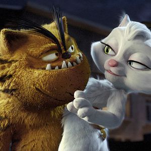 Fotoğraf Kötü Kedi Şerafettin