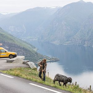 Fotoğraf Wotan Wilke Möhring