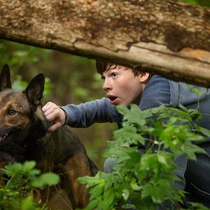 Fotoğraf Josh Wiggins