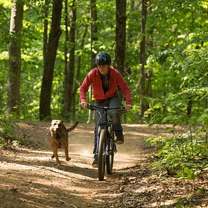 Fotoğraf Josh Wiggins