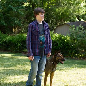 Fotoğraf Josh Wiggins