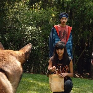 Fotoğraf Josh Wiggins