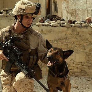 Fotoğraf Robbie Amell