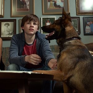 Fotoğraf Josh Wiggins