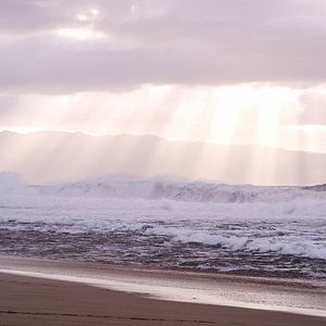 Fotoğraf Özgürlük Arayışı