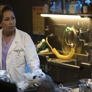 Fotoğraf Law & Order: Special Victims Unit