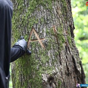 Fotoğraf Tatlı Küçük Yalancılar