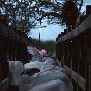 Fotoğraf Neon Boğa