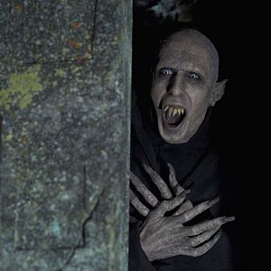 Fotoğraf Aylak Vampirler