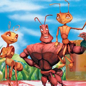 Fotoğraf Karınca Z