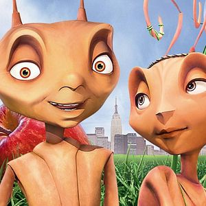 Fotoğraf Karınca Z