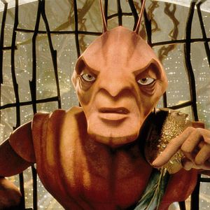 Fotoğraf Karınca Z