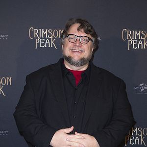 Fotoğraf Guillermo del Toro