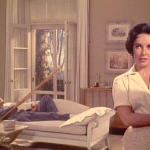 Fotoğraf Kızgın Damdaki Kedi