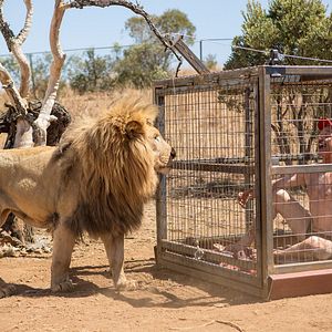 Fotoğraf Michael Gross