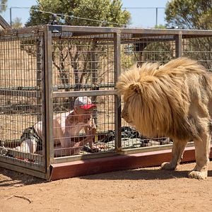 Fotoğraf Michael Gross