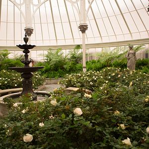 Fotoğraf Açlık Oyunları: Alaycı Kuş Bölüm 2