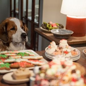 Fotoğraf Mutlu Yıllar