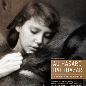 Fotoğraf Rastgele Balthazar