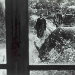 Fotoğraf Rastgele Balthazar