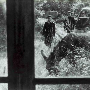 Fotoğraf Rastgele Balthazar