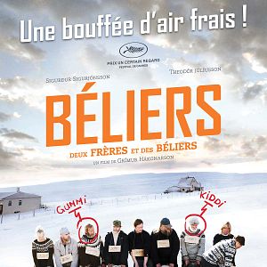 Fotoğraf İnatçılar