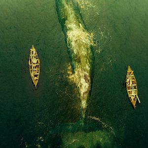 Fotoğraf Denizin Ortasında