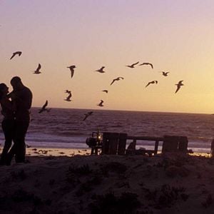 Fotoğraf İntikam Ateşi