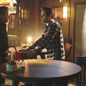 Fotoğraf Mark Collie