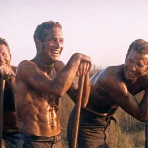 Fotoğraf Parmaklıklar Arasında