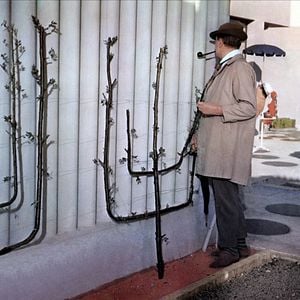 Fotoğraf Jacques Tati