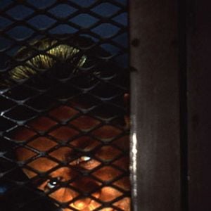 Fotoğraf Brett Leonard