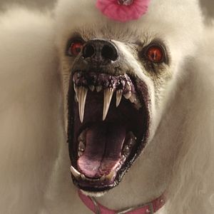 Fotoğraf Goosebumps: Canavarlar Firarda