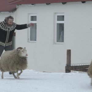 Fotoğraf İnatçılar