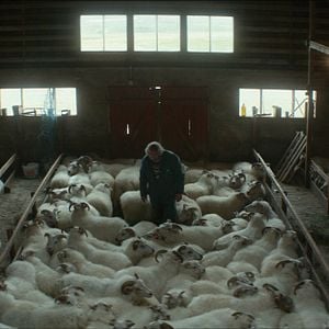 Fotoğraf İnatçılar