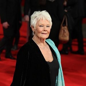 Fotoğraf Judi Dench