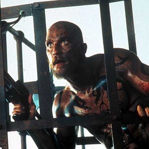 Fotoğraf Ateş Krallığı