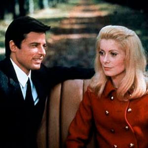 Fotoğraf Gündüz Güzeli