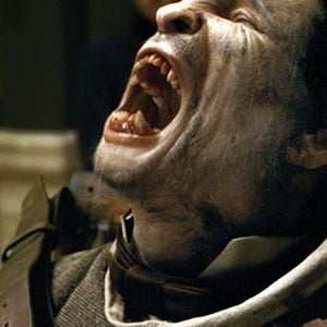 Fotoğraf Benicio Del Toro