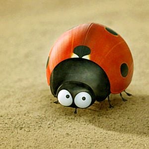 Fotoğraf Kayıp Karıncalar Vadisi