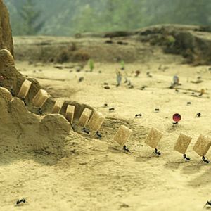 Fotoğraf Kayıp Karıncalar Vadisi