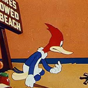 Fotoğraf The Woody Woodpecker Show