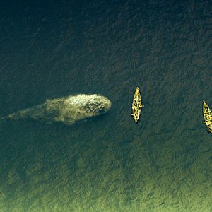 Fotoğraf Denizin Ortasında