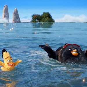 Fotoğraf The Angry Birds Movie