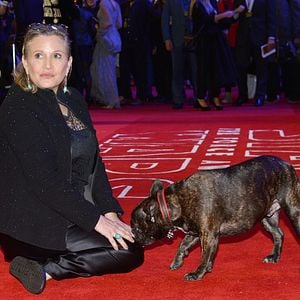 Fotoğraf Carrie Fisher